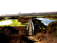Elkhorn Slough, Monterey, California